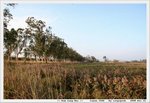 IMG_7858