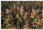 IMG_7861