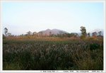 IMG_7936
