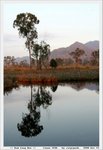 IMG_7956