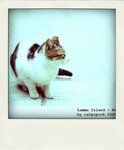 DSC_0007-pola