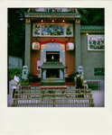 DSC_9931-pola01