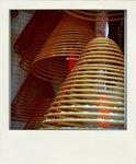 DSC_9937-pola