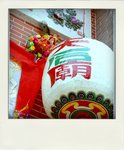 DSC_9939-pola