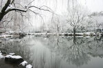 IMG_5070