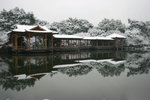 psIMG_5066
