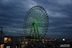 DSC_655000