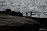 DSC_689400