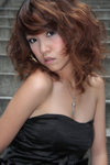 DPP_0055no