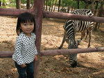 斑點對斑馬
 - 深圳野生動物園
23/02/2007