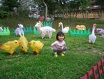 有小雞小鴨
 - 天水圍公園(中秋花燈展)
04/03/2007