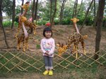 有長頸鹿(1)
 - 天水圍公園(中秋花燈展)
04/03/2007