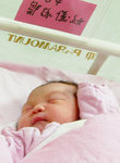 剛出世的潼潼(1)
 - 廣華醫院
05/07/2004