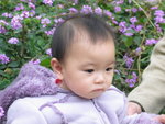 偷影(1)
 - 青衣市鎮公園
13/02/2005