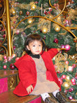 聖誕樹下
 - 九龍灣德福廣場
10/12/2006
