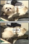 sleep