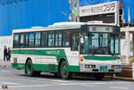 11-81
