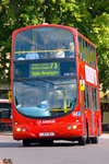 VLW181