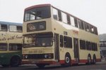 S3BL436