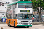 DA81