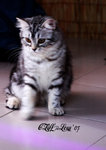 IMG_6211_20070721