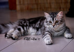 IMG_6216_20070721