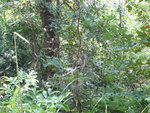 P1010150