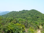 P1010153
