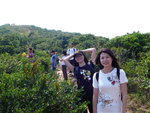 P1010154