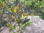 P1010166