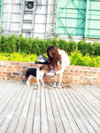 4.9.O7@狗公園
ME: 飲多d水啦~