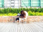 4.9.O7@狗公園
Plum: d水熱既?!