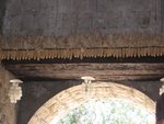 IMG_4659