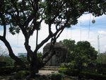 IMG_4661