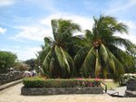 IMG_4685