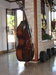 IMG_4710