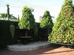 IMG_4715