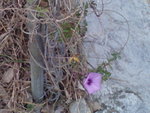 DSC00188