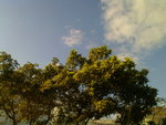 DSC00161