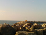 DSC00168