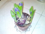DSC00161