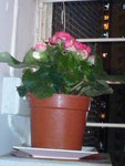 DSC00164