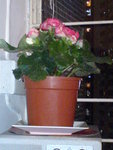 DSC00165