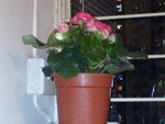 DSC00166