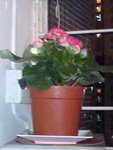 DSC00167