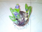 DSC0162