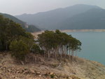 DSC00296
