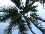 IMG_5136