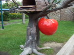 2007_06040098