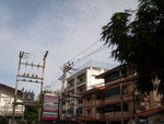 SL730331